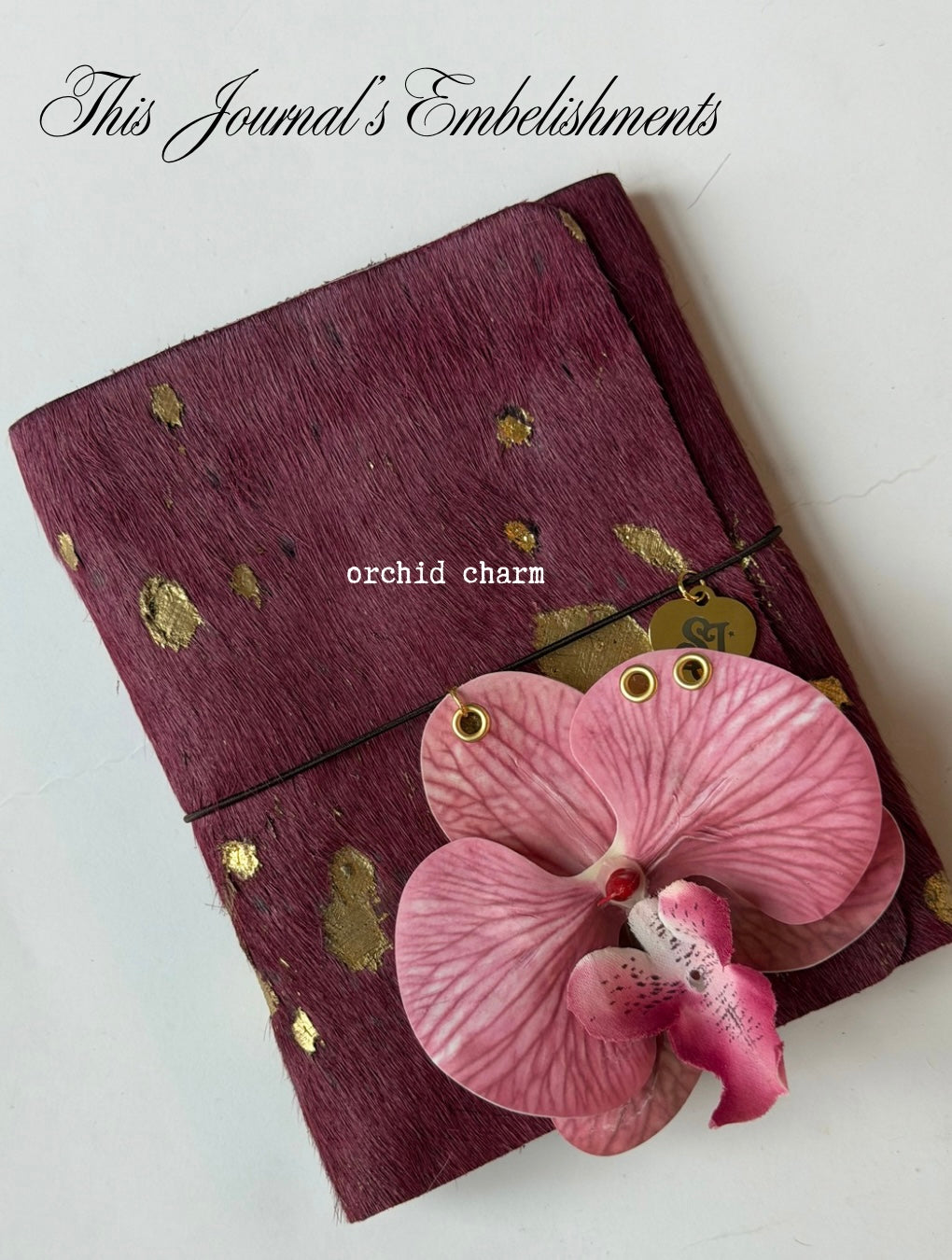 A6 plum