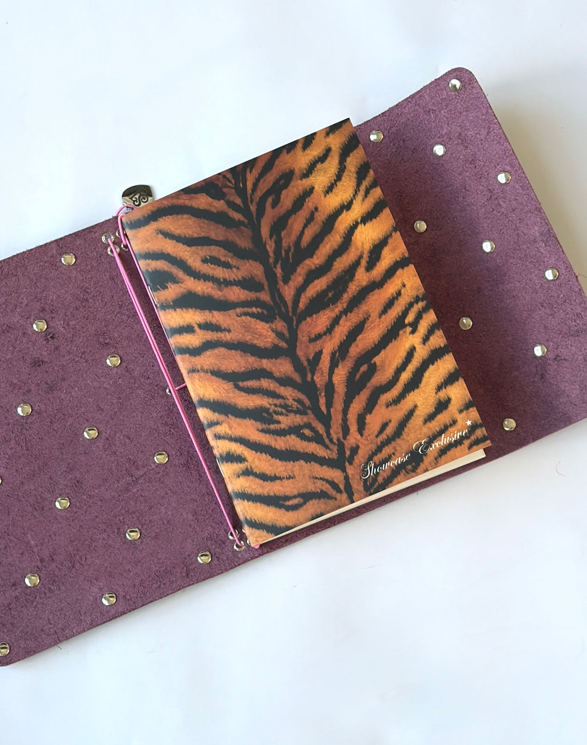 showcase notebook collection ⟡