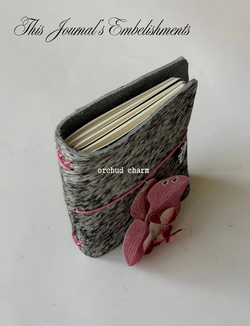 A6 blush bifold