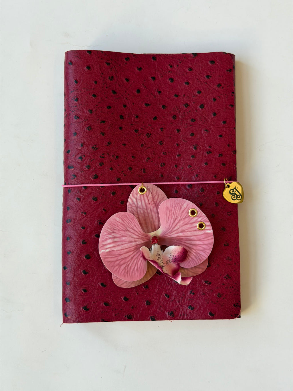 A5 dragon fruit