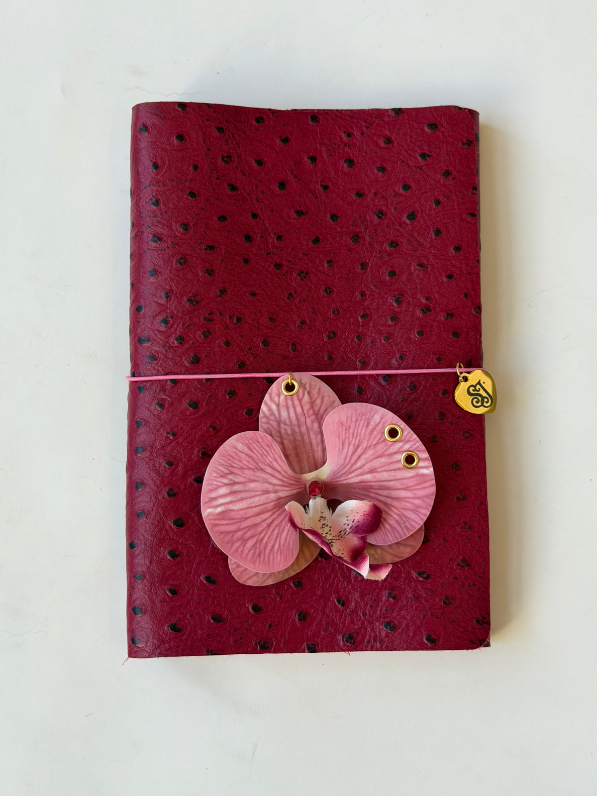 A5 dragon fruit