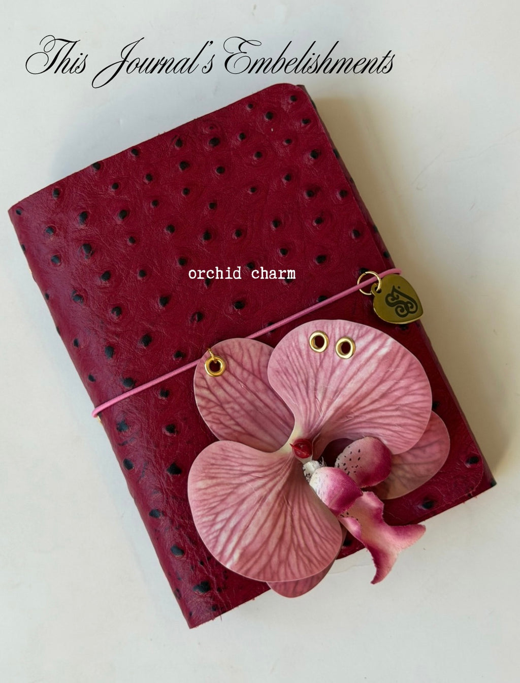 A6 dragon fruit