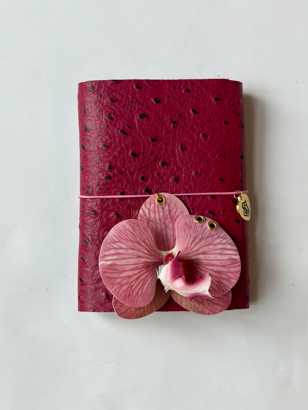 A6 dragon fruit