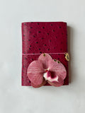 A6 dragon fruit