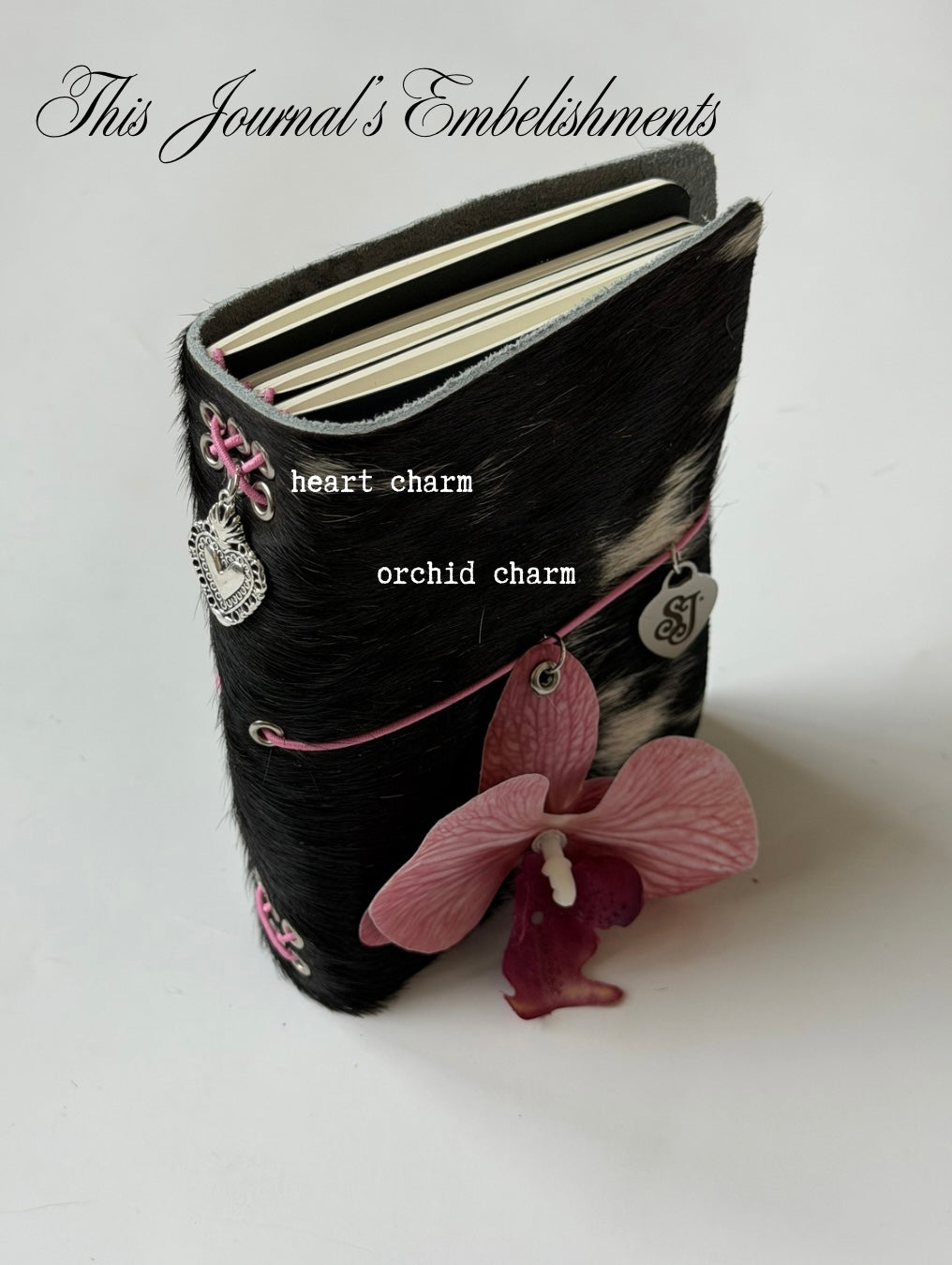 A6 pinky bifold