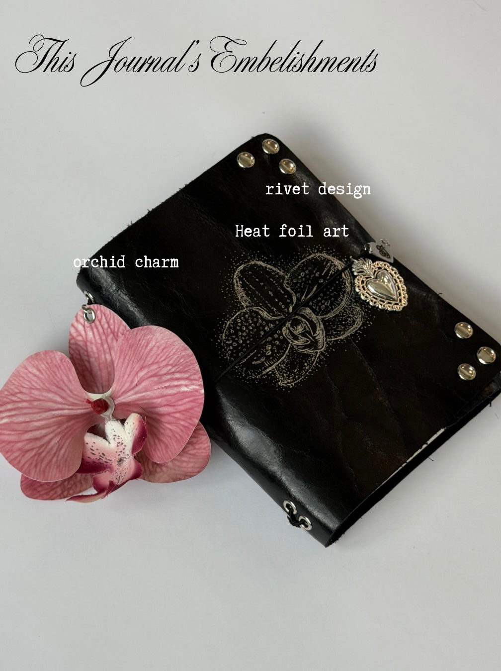 orchid A6