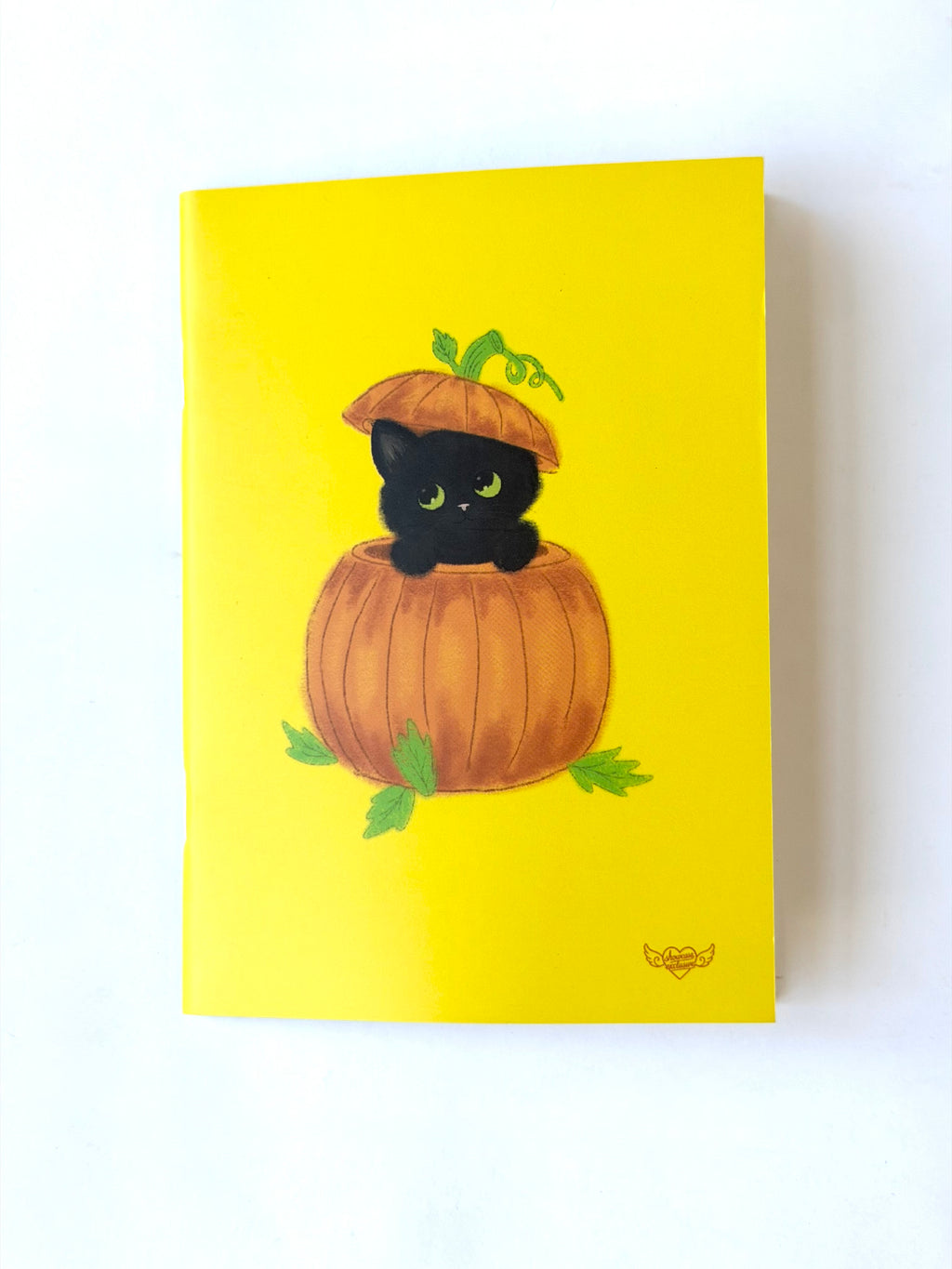 showcase notebook collection ⟡