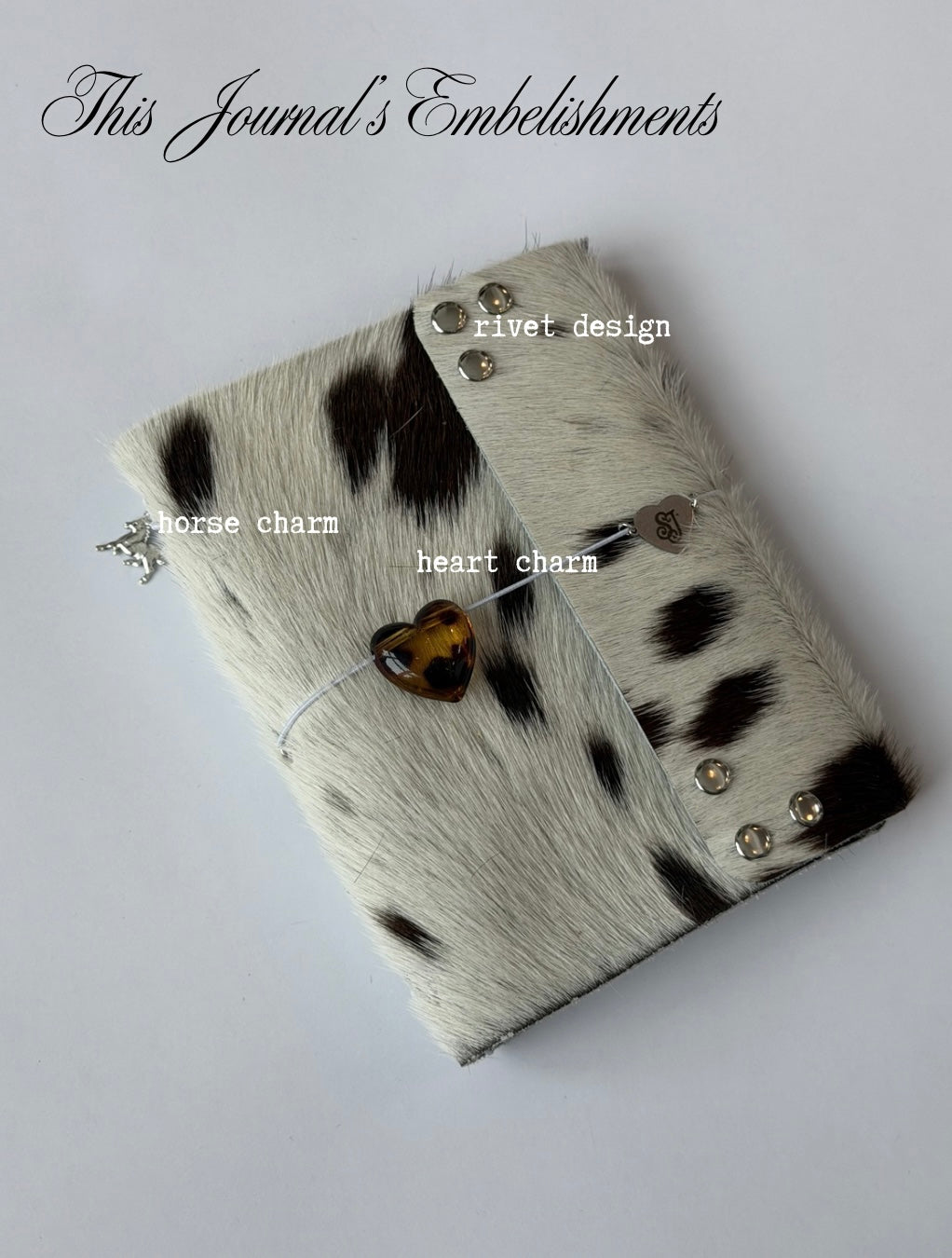 A6 dottie