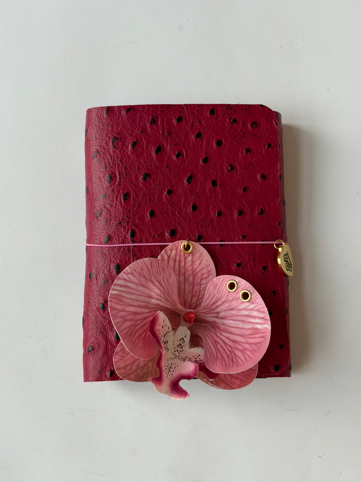 A6 dragon fruit