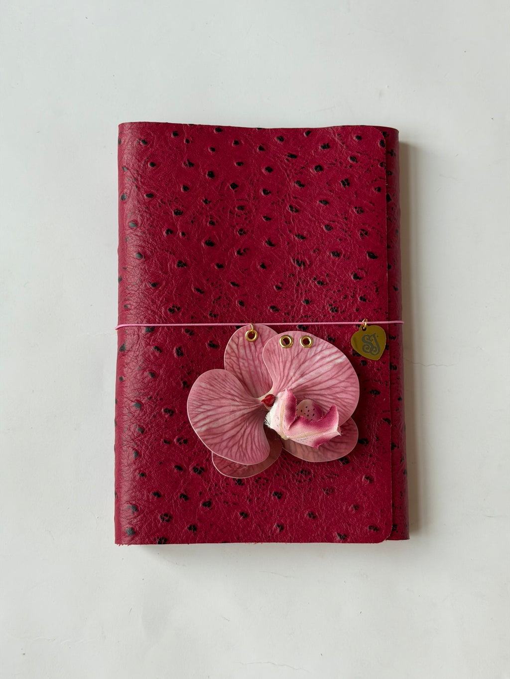 A5 dragon fruit