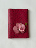 A5 dragon fruit