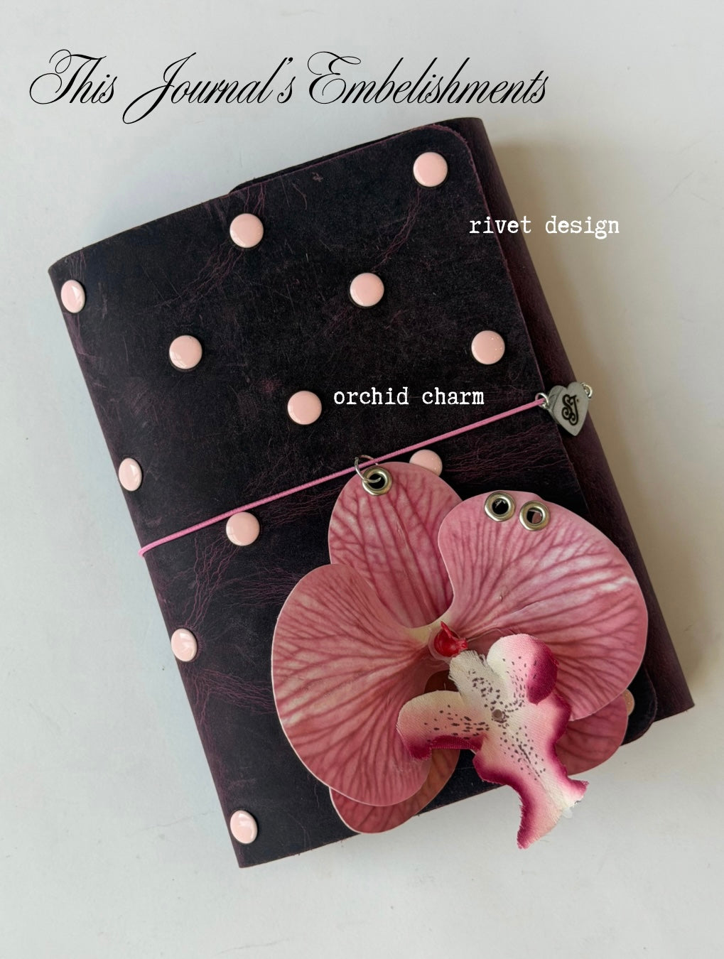A6 black cherry